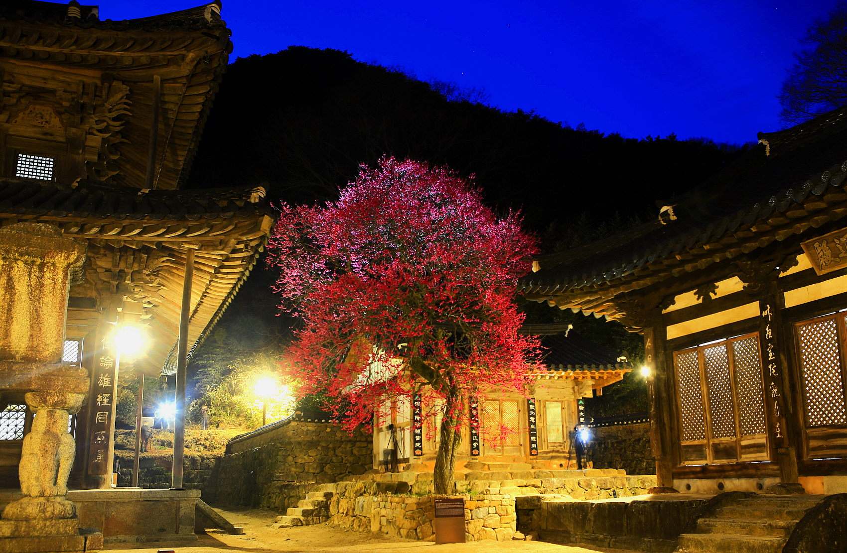 PHOTO BY  | Canon EOS 5D Mark III | 2021:03:17 18:49:58 | ISO-200 | 20/1 sec | f 5.6 | 30 mm | EV=0 | ● WIDTH:1700 pixels  HEIGHT:1111 pixels