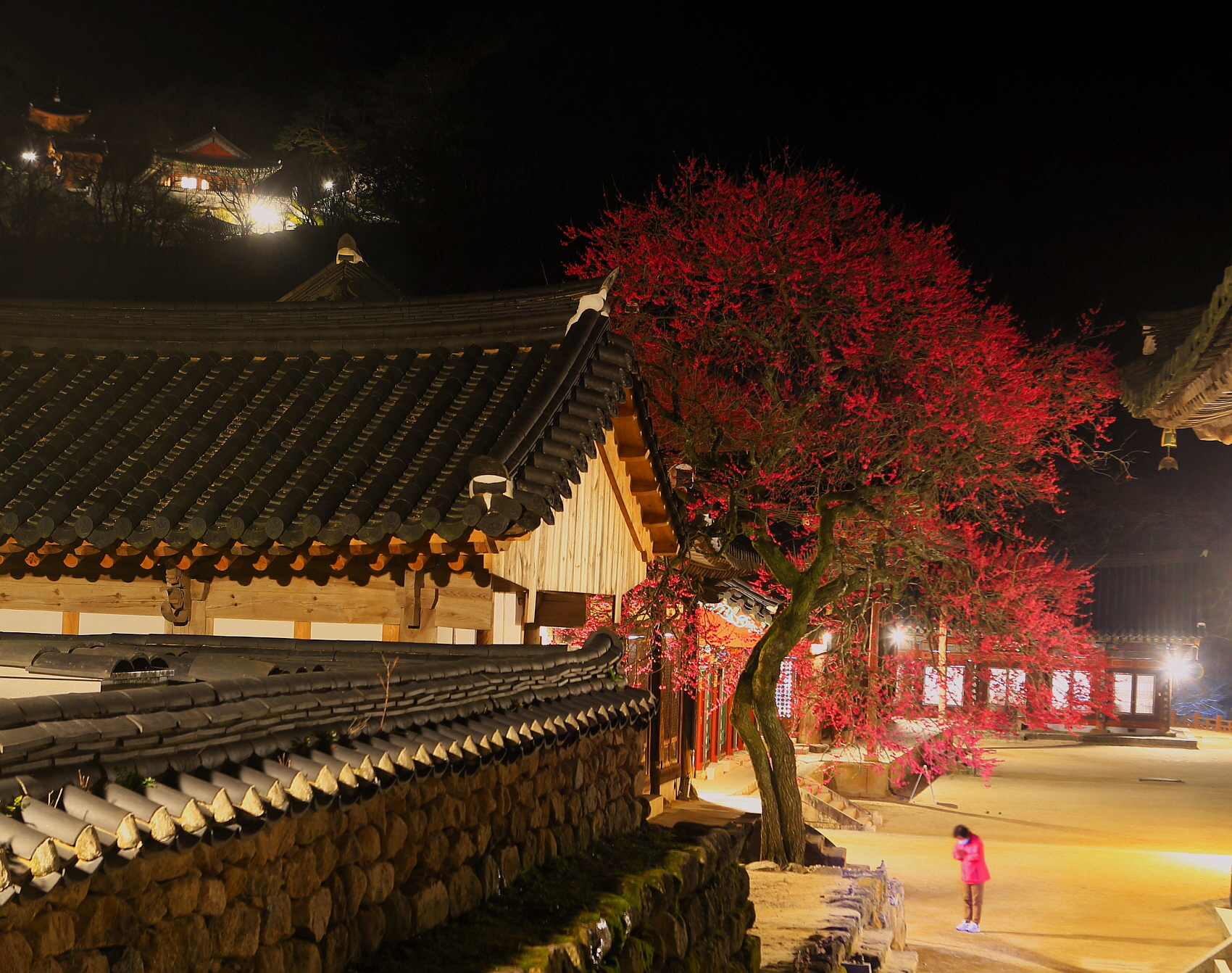 PHOTO BY  | Canon EOS 5D Mark III | 2021:03:17 19:08:51 | ISO-200 | 30/1 sec | f 5 | 45 mm | EV=0 | ● WIDTH:1700 pixels  HEIGHT:1342 pixels