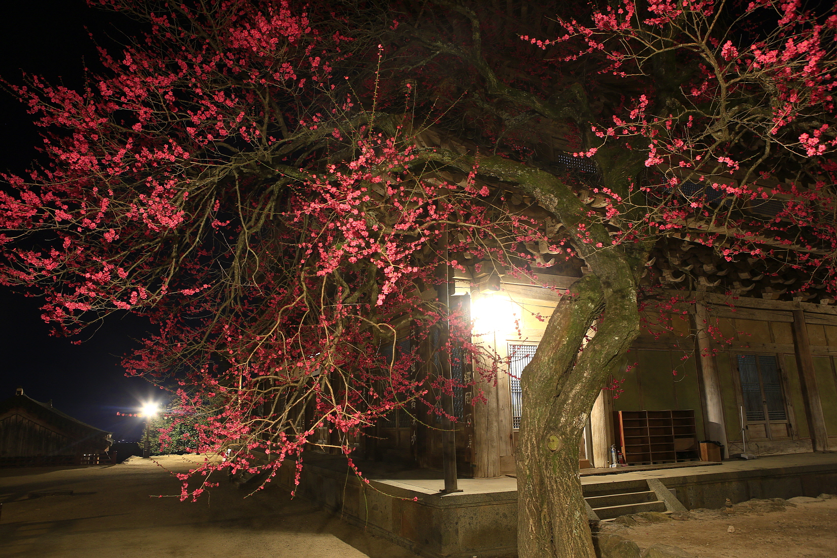 PHOTO BY  | Canon EOS 5D Mark III | 2021:03:17 19:23:35 | ISO-500 | 6/1 sec | f 7.1 | 25 mm | EV=0 | ● WIDTH:1700 pixels  HEIGHT:1133 pixels