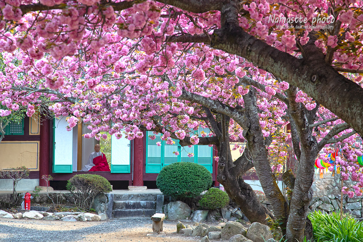 PHOTO BY LEE PILKOO | Canon EOS 5D Mark IV | 2024:04:18 06:44:13 | ISO-400 | 1/50 sec | f 7.1 | 105 mm | EV=-1 | ● WIDTH:1200 pixels  HEIGHT:800 pixels