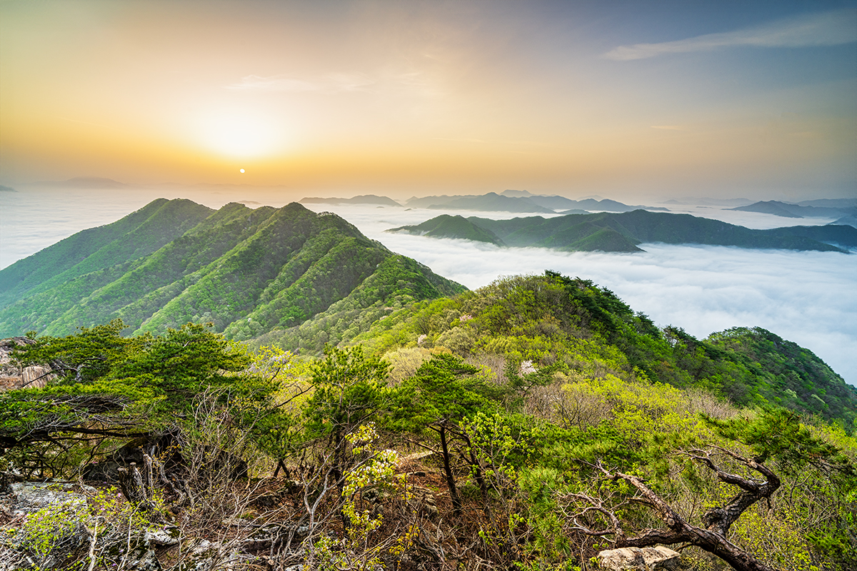 PHOTO BY  | NIKON Z 7_2 | 2024:04:17 06:03:10 | ISO-64 | 4/10 sec | f 11 | 15 mm | EV=0 | ● WIDTH:1200 pixels  HEIGHT:800 pixels