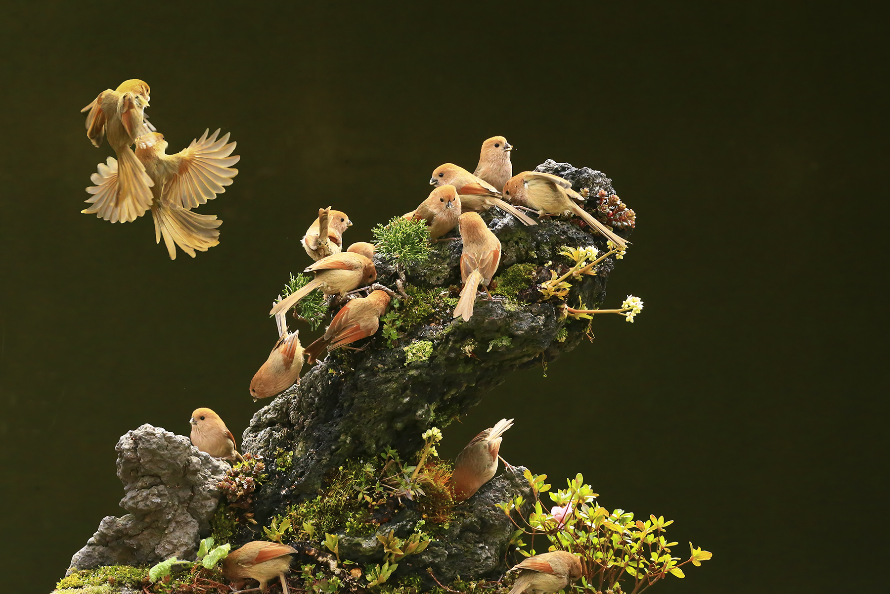 PHOTO BY  | Canon EOS R5 | 2024:04:13 17:14:11 | ISO-200 | 1/500 sec | f 11 | 58 mm | EV=0 | ● WIDTH:1800 pixels  HEIGHT:1201 pixels