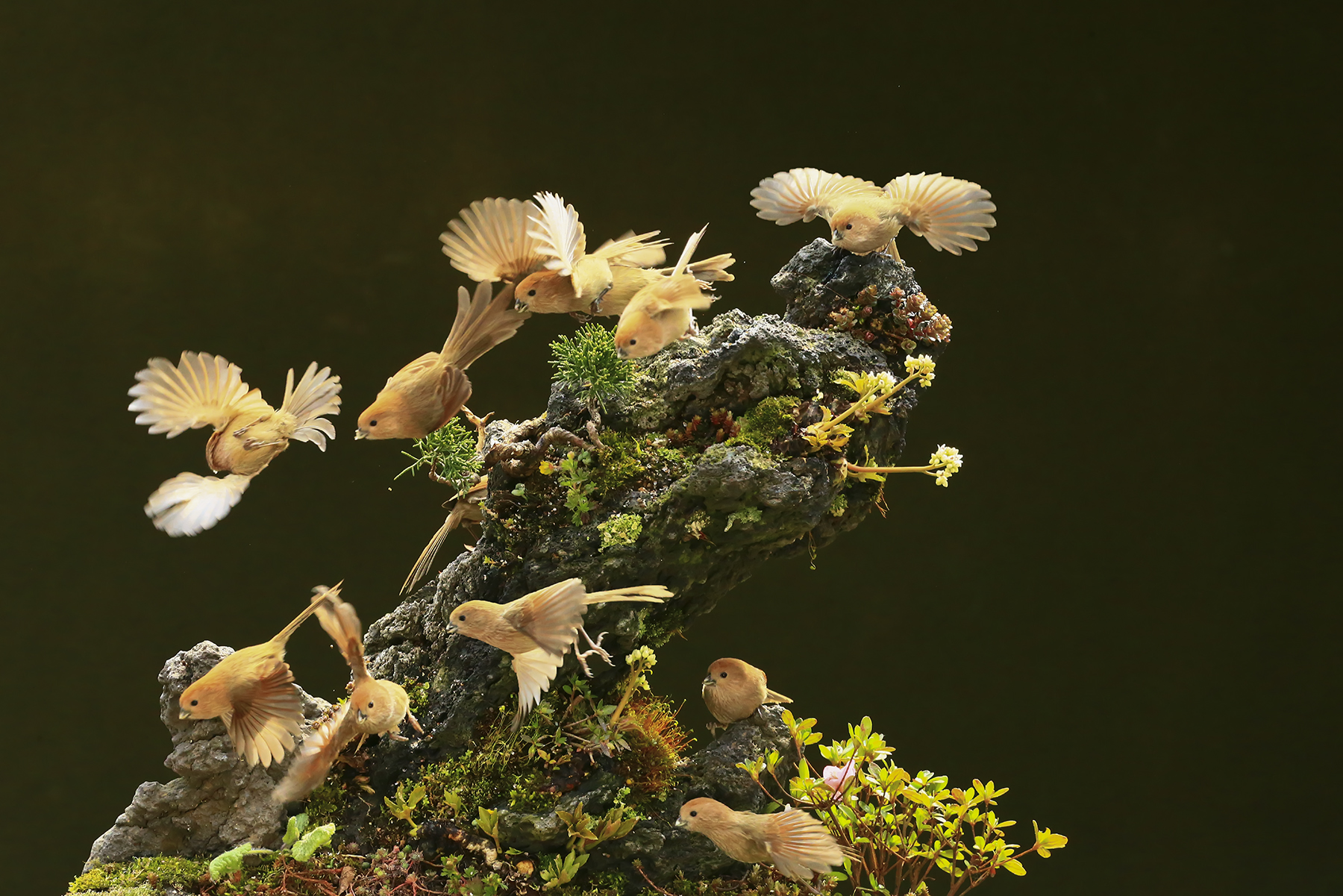 PHOTO BY  | Canon EOS R5 | 2024:04:13 17:14:13 | ISO-200 | 1/500 sec | f 11 | 58 mm | EV=0 | ● WIDTH:1800 pixels  HEIGHT:1201 pixels