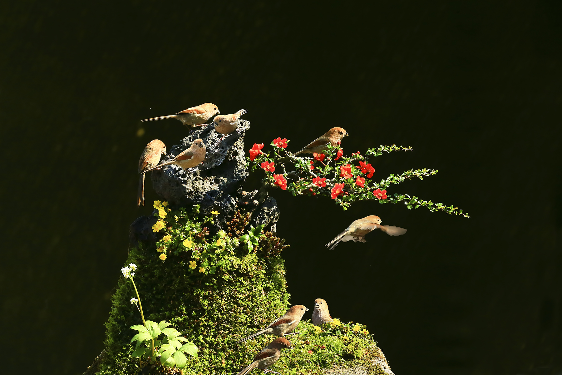 PHOTO BY  | Canon EOS R5 | 2024:04:13 17:14:19 | ISO-200 | 1/640 sec | f 11 | 58 mm | EV=0 | ● WIDTH:1800 pixels  HEIGHT:1201 pixels