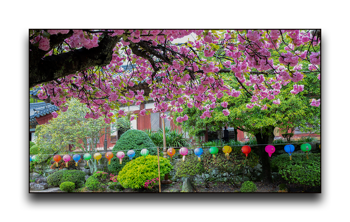 PHOTO BY  | Canon EOS 5D Mark IV | 2024:04:21 14:09:58 | ISO-100 | 1/6 sec | f 10 | 35 mm | EV=0 | ● WIDTH:1436 pixels  HEIGHT:911 pixels