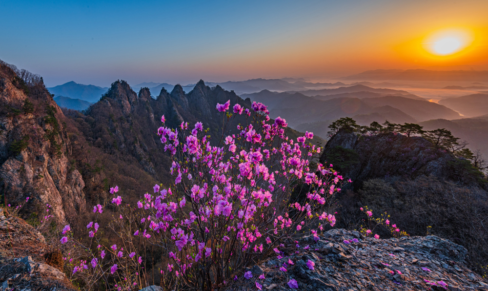 PHOTO BY CHUNGHYUNSUK | NIKON D850 | 2024:04:13 06:04:56 | ISO-100 | 1/40 sec | f 14 | 16 mm | EV=0.3 | ● WIDTH:1000 pixels  HEIGHT:596 pixels