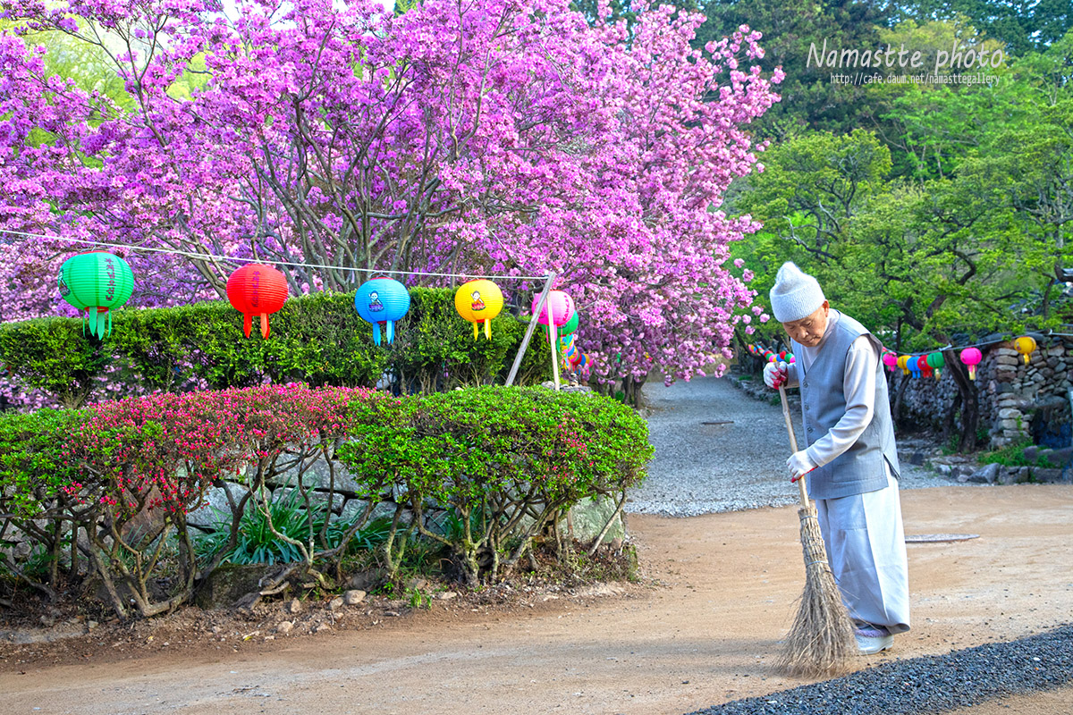 PHOTO BY LEE PILKOO | Canon EOS 5D Mark IV | 2024:04:18 06:53:33 | ISO-400 | 1/160 sec | f 7.1 | 45 mm | EV=-1 | ● WIDTH:1200 pixels  HEIGHT:800 pixels
