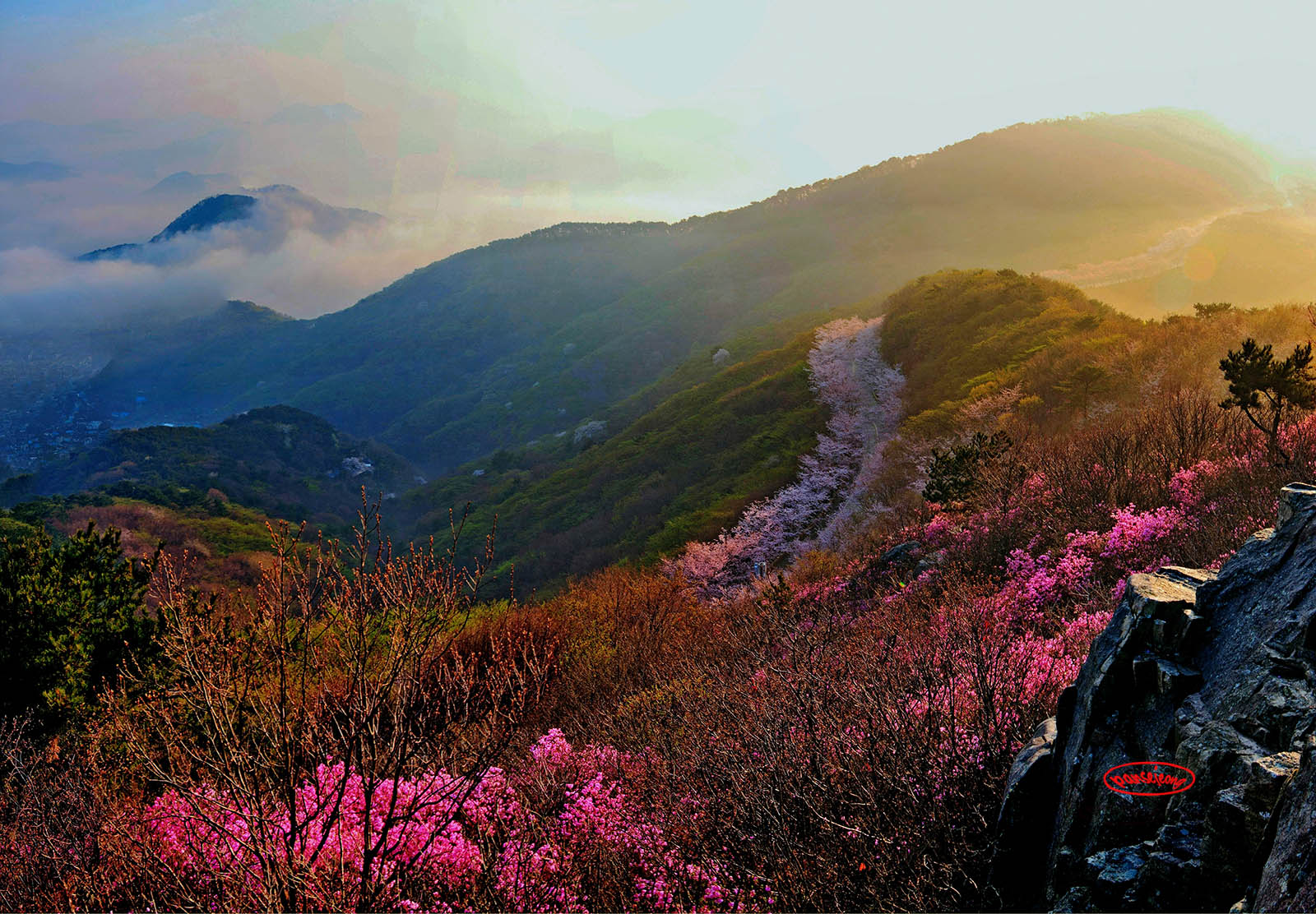 PHOTO BY  | Canon EOS 40D | 2017:04:07 06:51:56 | ISO-100 | 1/20 sec | f 13 | 30 mm | EV=0.7 | ● WIDTH:1600 pixels  HEIGHT:1112 pixels