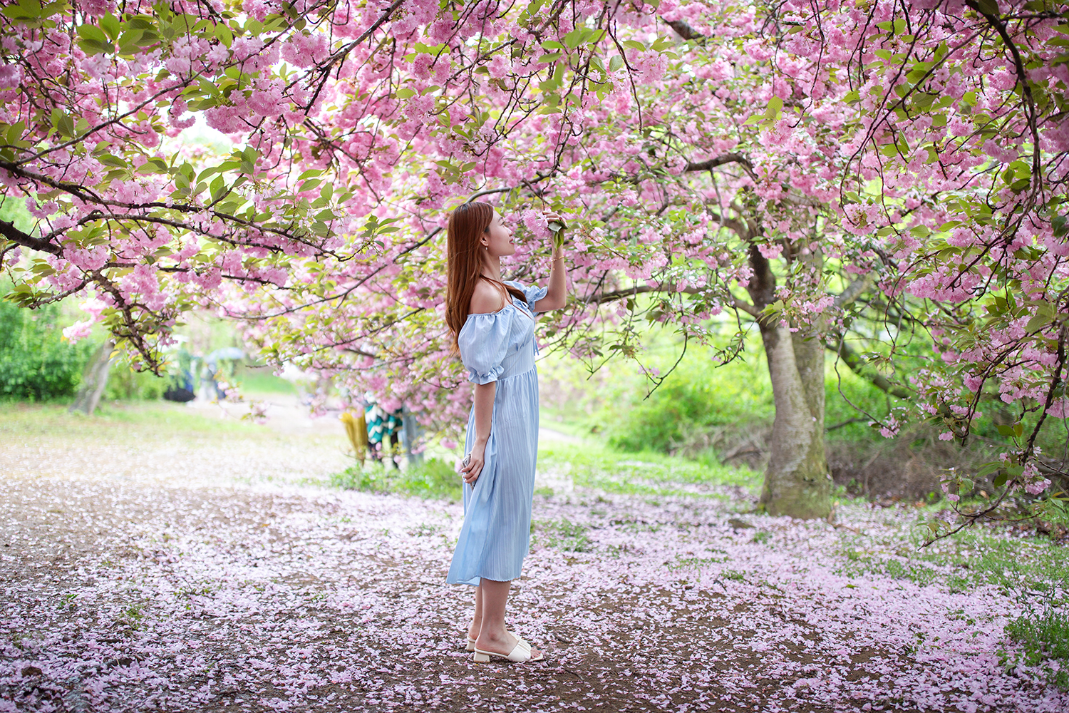 PHOTO BY  | Canon EOS 5D Mark III | 2024:04:21 12:28:23 | ISO-250 | 1/1250 sec | f 1.4 | 35 mm | EV=0 | ● WIDTH:1500 pixels  HEIGHT:1000 pixels