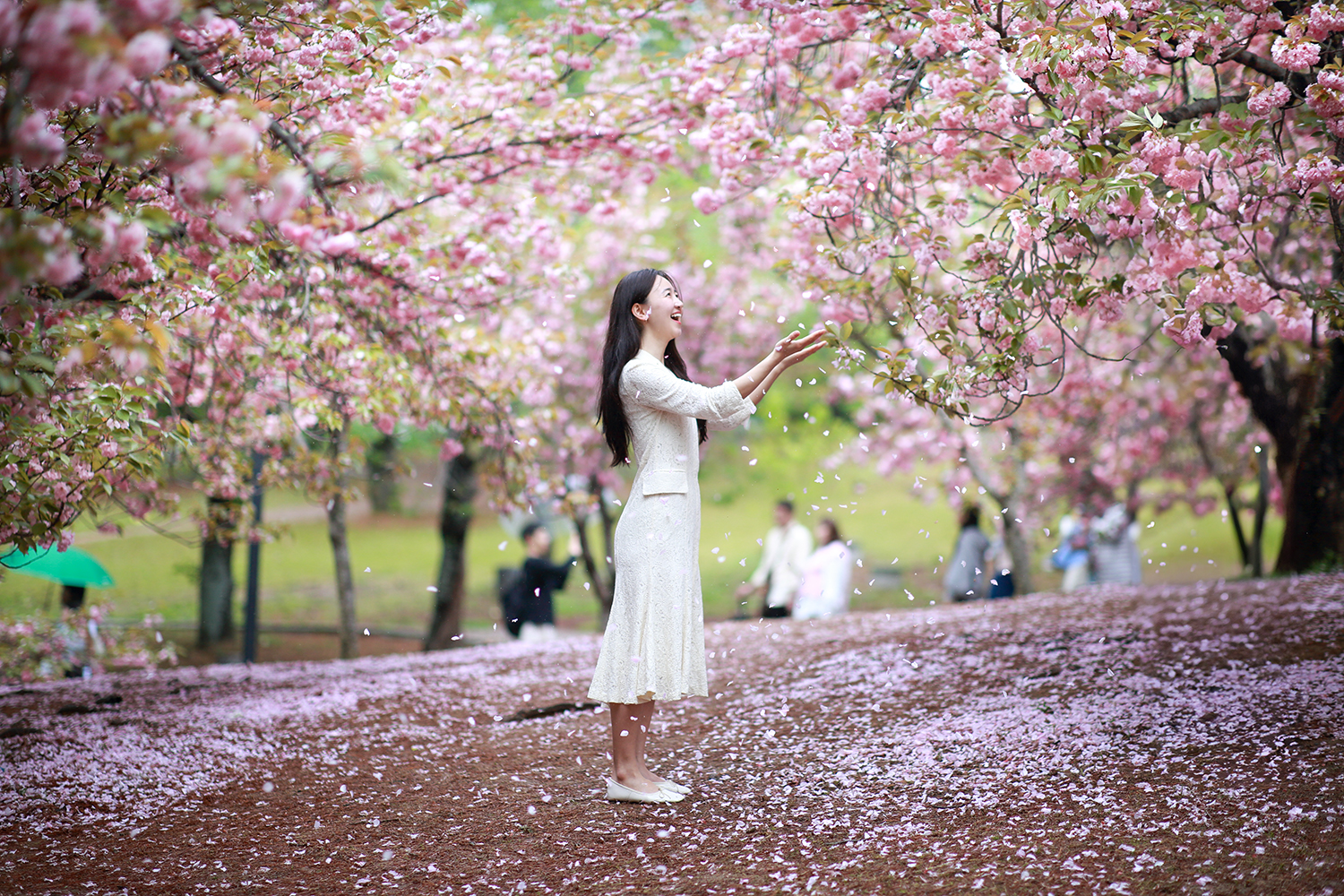 PHOTO BY  | Canon EOS 5D Mark III | 2024:04:21 13:40:35 | ISO-250 | 1/3200 sec | f 1.4 | 85 mm | EV=0 | ● WIDTH:1500 pixels  HEIGHT:1000 pixels