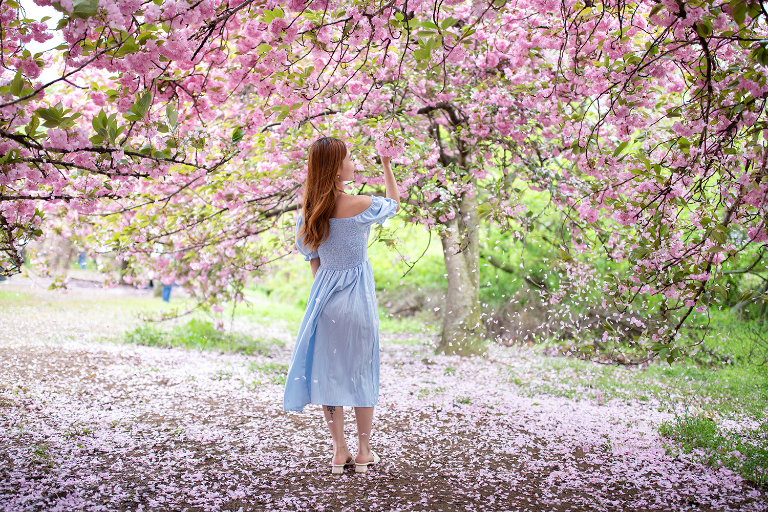 PHOTO BY  | Canon EOS 5D Mark III | 2024:04:21 12:29:29 | ISO-250 | 1/1250 sec | f 1.4 | 35 mm | EV=0 | ● WIDTH:1500 pixels  HEIGHT:1000 pixels