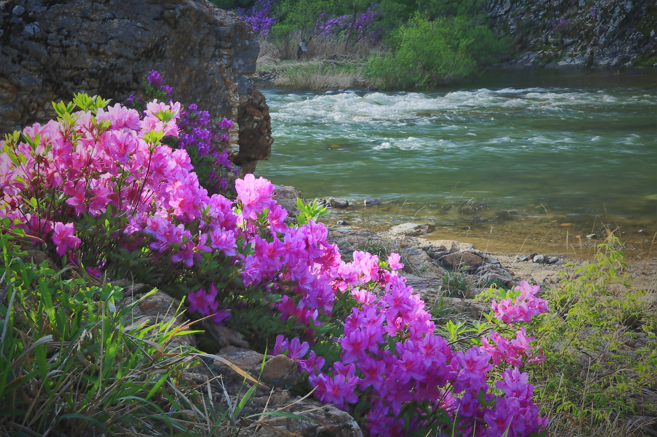 PHOTO BY  | Canon EOS 5D Mark III | 2016:04:25 07:15:32 | ISO-100 | 1/5 sec | f 22 | 48 mm | EV=0 | ● WIDTH:1300 pixels  HEIGHT:866 pixels