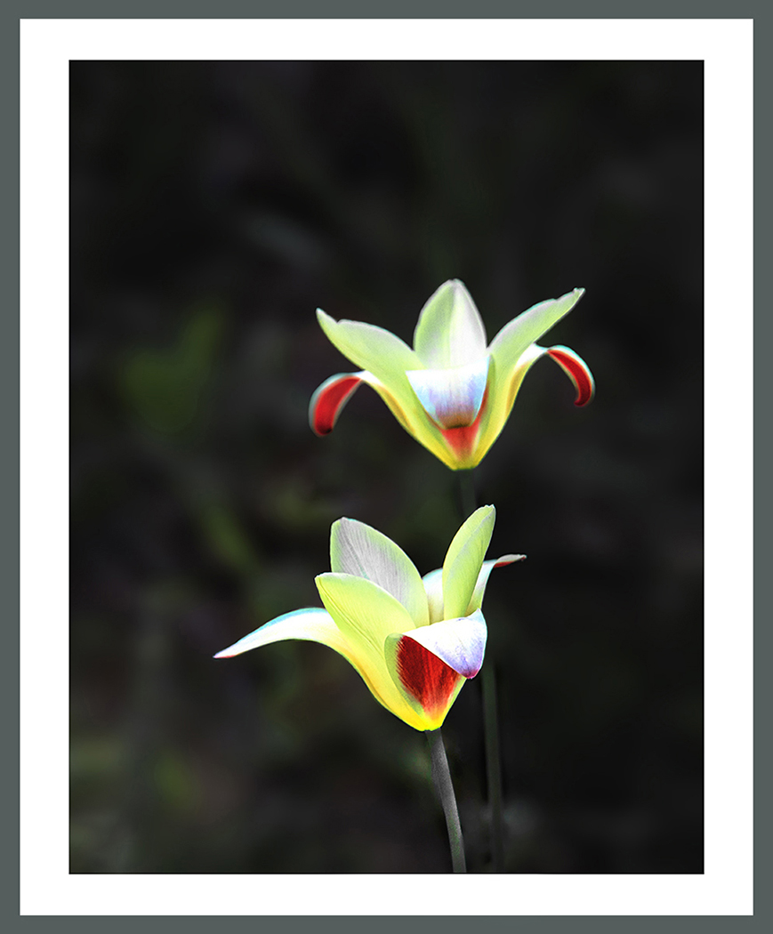 PHOTO BY  | ILCE-6500 | 2024:04:23 13:46:35 | ISO-400 | 1/160 sec | f 6.3 | 111.4 mm | EV=0.3 | ● WIDTH:869 pixels  HEIGHT:1050 pixels