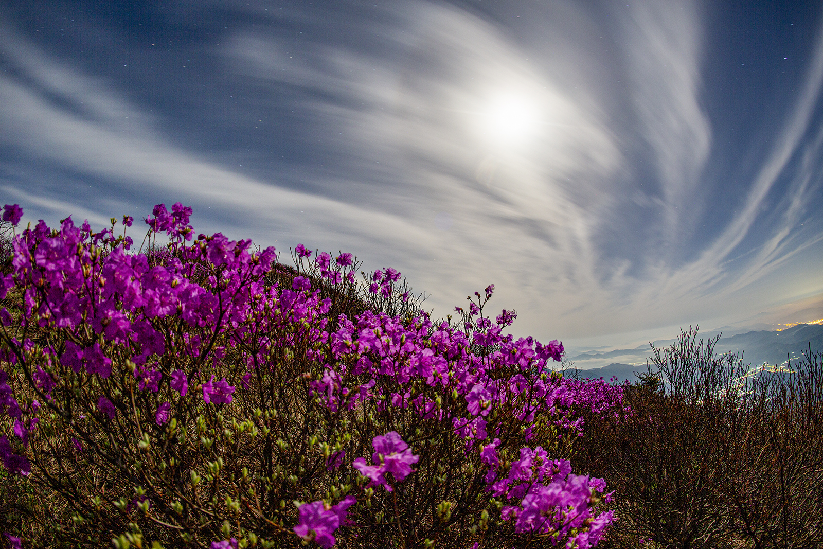 PHOTO BY MINKYUKIM | Canon EOS 5D Mark III | 2024:04:23 00:15:48 | ISO-200 | 78/1 sec |  |  | EV=0 | ● WIDTH:1600 pixels  HEIGHT:1067 pixels