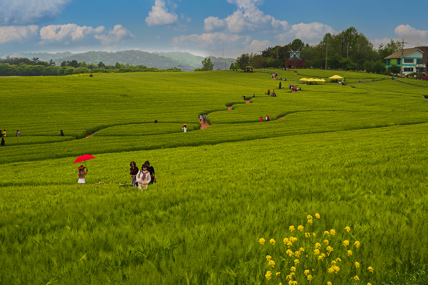 PHOTO BY  | NIKON Z 6_2 | 2024:04:23 12:19:16 | ISO-200 | 1/160 sec | f 11 | 58 mm | EV=0.3 | ● WIDTH:1500 pixels  HEIGHT:1000 pixels