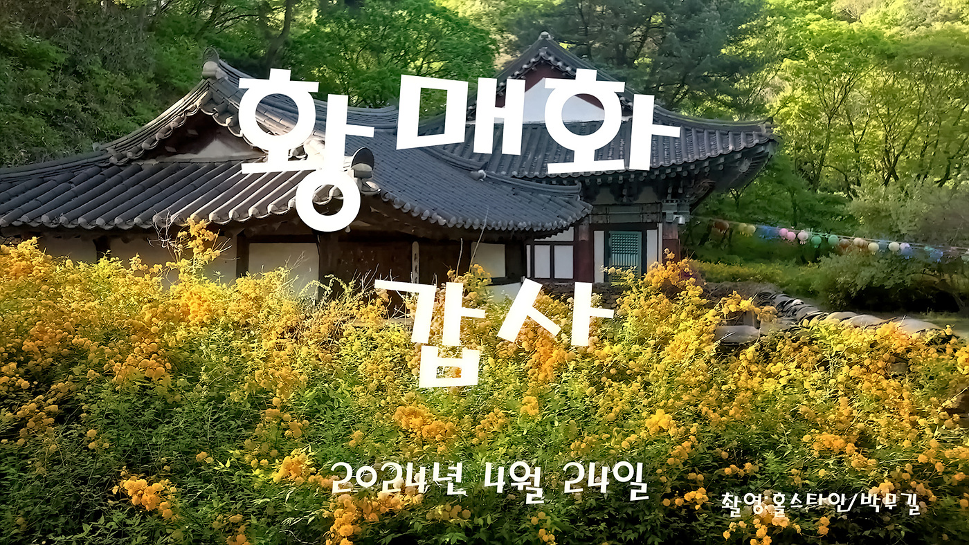   | PHOTO BY : 홀스타인/박무길  |