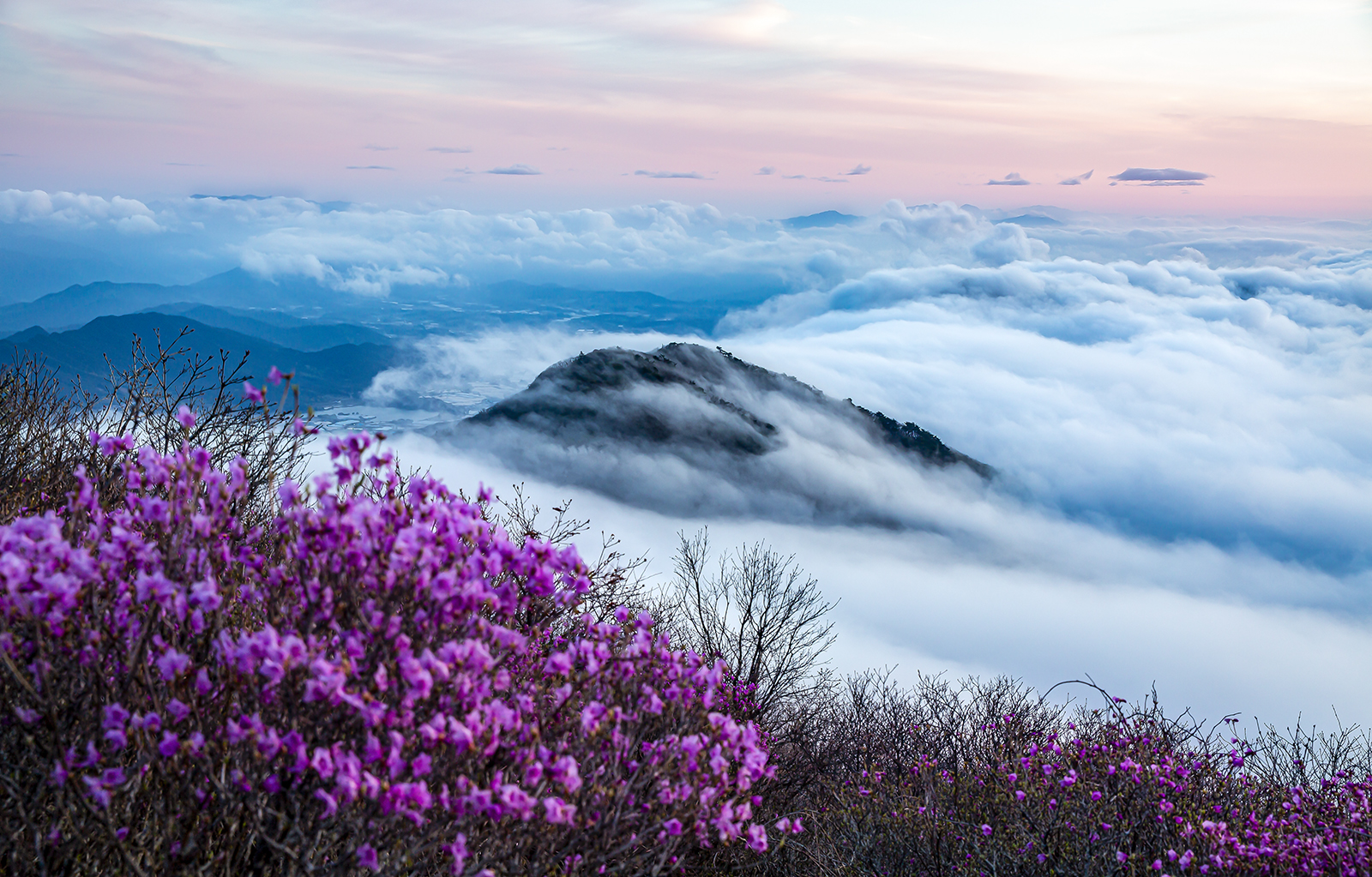 PHOTO BY MINKYUKIM | Canon EOS 5D Mark III | 2024:04:23 05:27:52 | ISO-400 | 1/40 sec | f 6.3 | 41 mm | EV=0 | ● WIDTH:1600 pixels  HEIGHT:1023 pixels