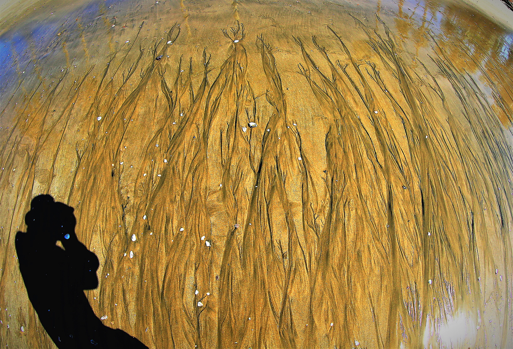 PHOTO BY  | Canon EOS 5D Mark III | 2019:11:20 10:55:28 | ISO-100 | 1/400 sec | f 9 | 15 mm | EV=0 | ● WIDTH:1700 pixels  HEIGHT:1159 pixels