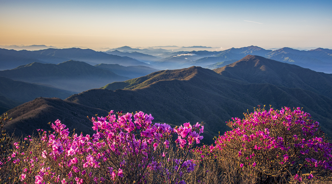 PHOTO BY  | NIKON D810 | 2024:04:25 06:49:13 | ISO-100 | 1/60 sec | f 11 | 35 mm | EV=-1.3 | ● WIDTH:1400 pixels  HEIGHT:778 pixels