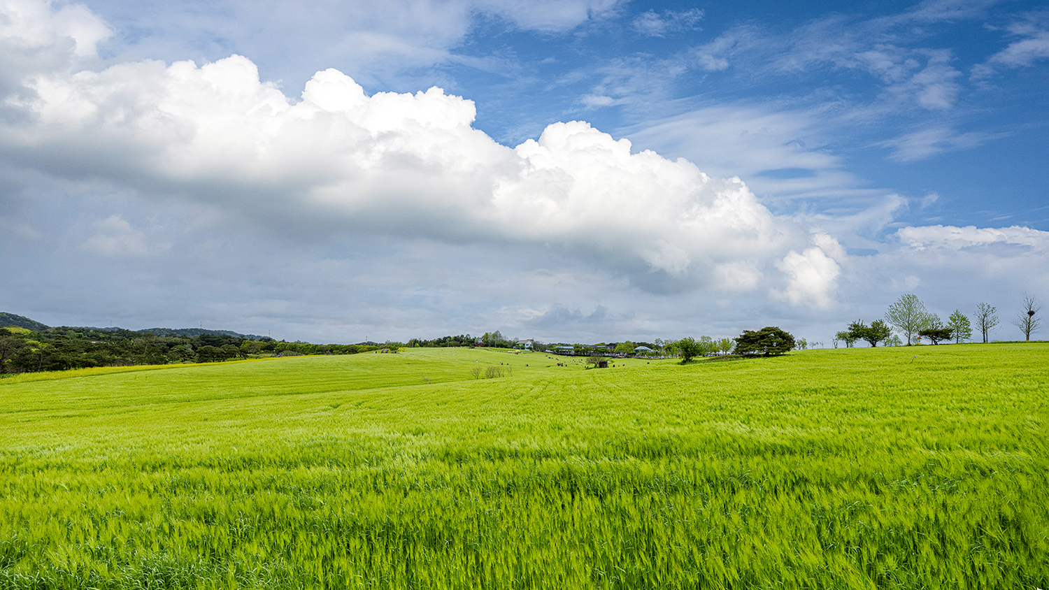 PHOTO BY  | GFX100S | 2024:04:20 14:19:27 | ISO-100 | 1/100 sec | f 8 | 20 mm | EV=0 | ● WIDTH:1500 pixels  HEIGHT:844 pixels