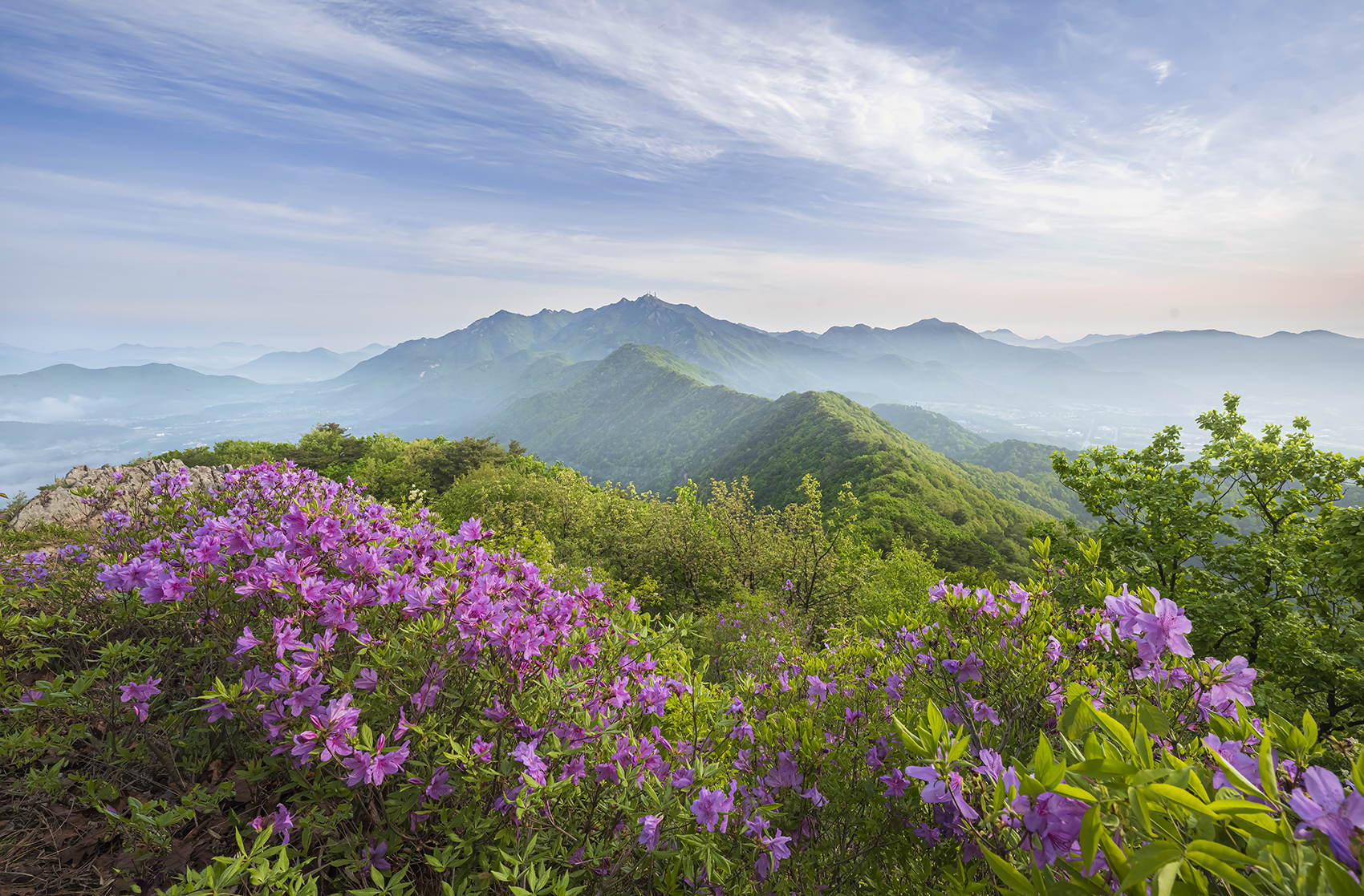 PHOTO BY  | NIKON Z 7_2 | 2024:04:26 07:57:25 | ISO-200 | 1/60 sec | f 11 | 15.5 mm | EV=0 | ● WIDTH:1700 pixels  HEIGHT:1117 pixels