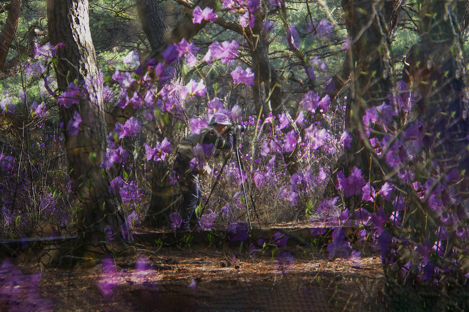 PHOTO BY  | CanonCanon |  | ISO- |  |  |  | EV=0 | ● WIDTH:  HEIGHT: