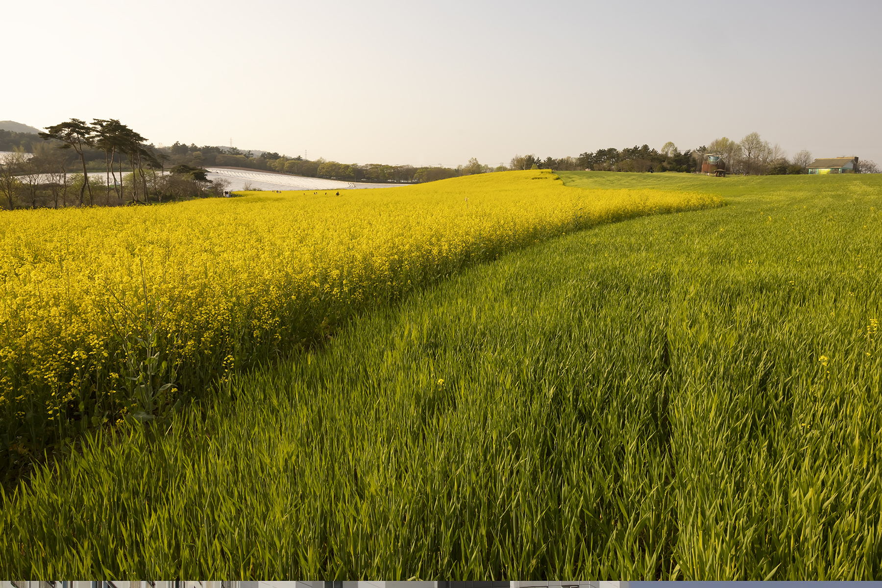 PHOTO BY HNalim | Canon EOS 7D Mark II | 2024:04:25 17:07:32 | ISO-1000 | 1/1250 sec | f 18 | 104 mm | EV=0 | ● WIDTH:1800 pixels  HEIGHT:1200 pixels