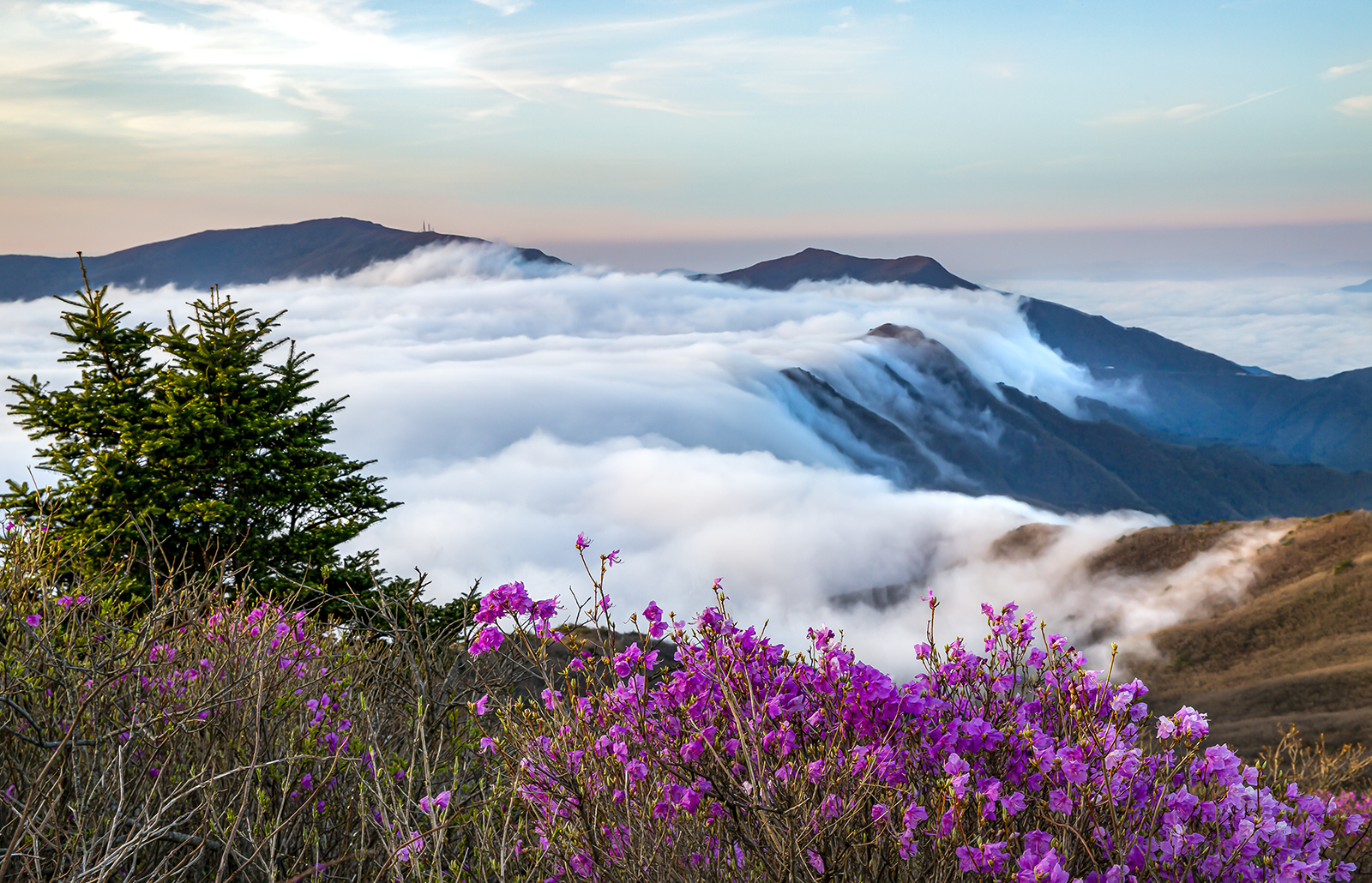 PHOTO BY MINKYUKIM | Canon EOS 5D Mark III | 2024:04:23 06:03:12 | ISO-200 | 1/40 sec | f 13 | 44 mm | EV=0 | ● WIDTH:1600 pixels  HEIGHT:1030 pixels