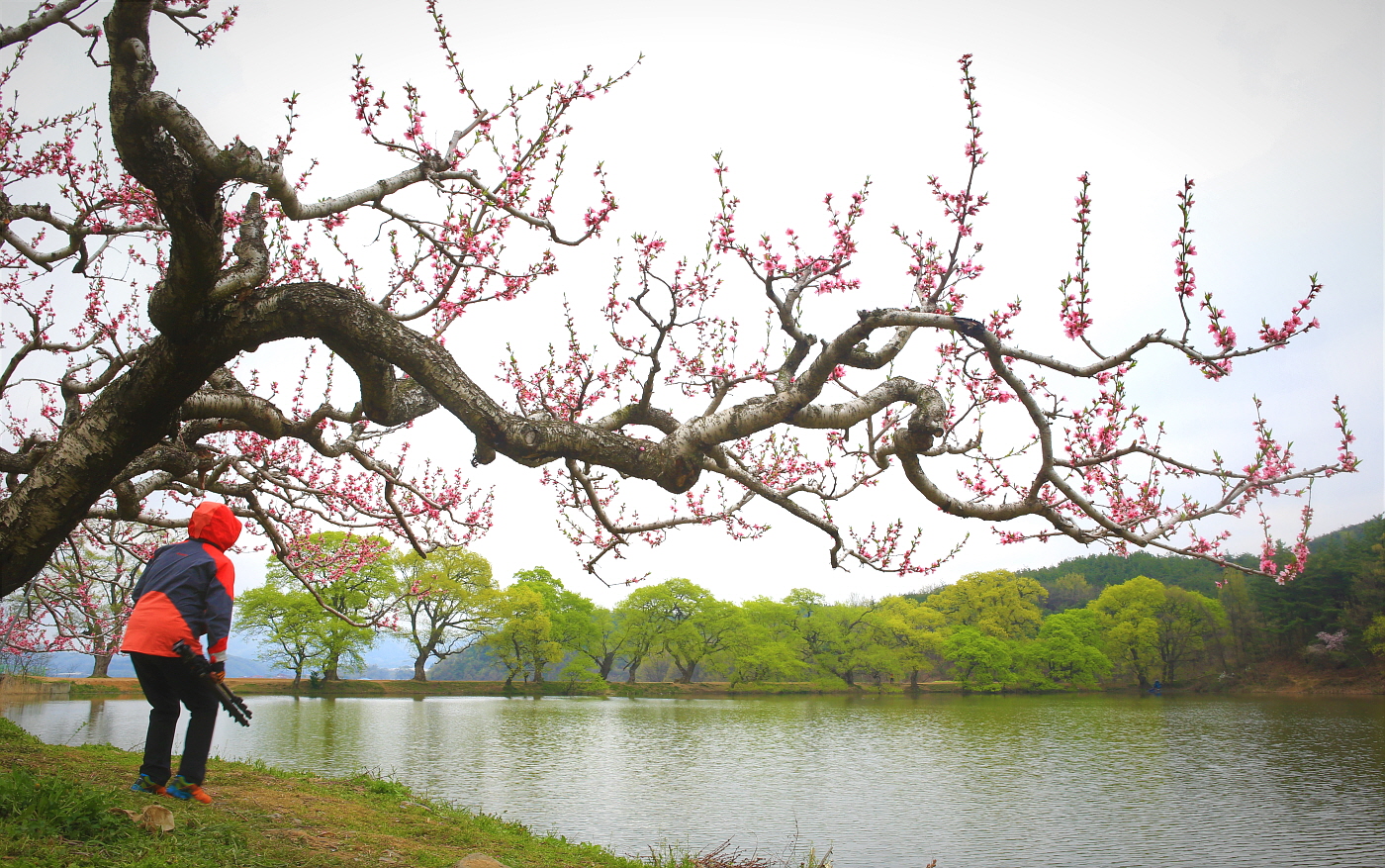 PHOTO BY  | Canon EOS 5D Mark III | 2016:04:11 08:47:46 | ISO-500 | 1/60 sec | f 11 | 28 mm | EV=0 | ● WIDTH:1400 pixels  HEIGHT:877 pixels