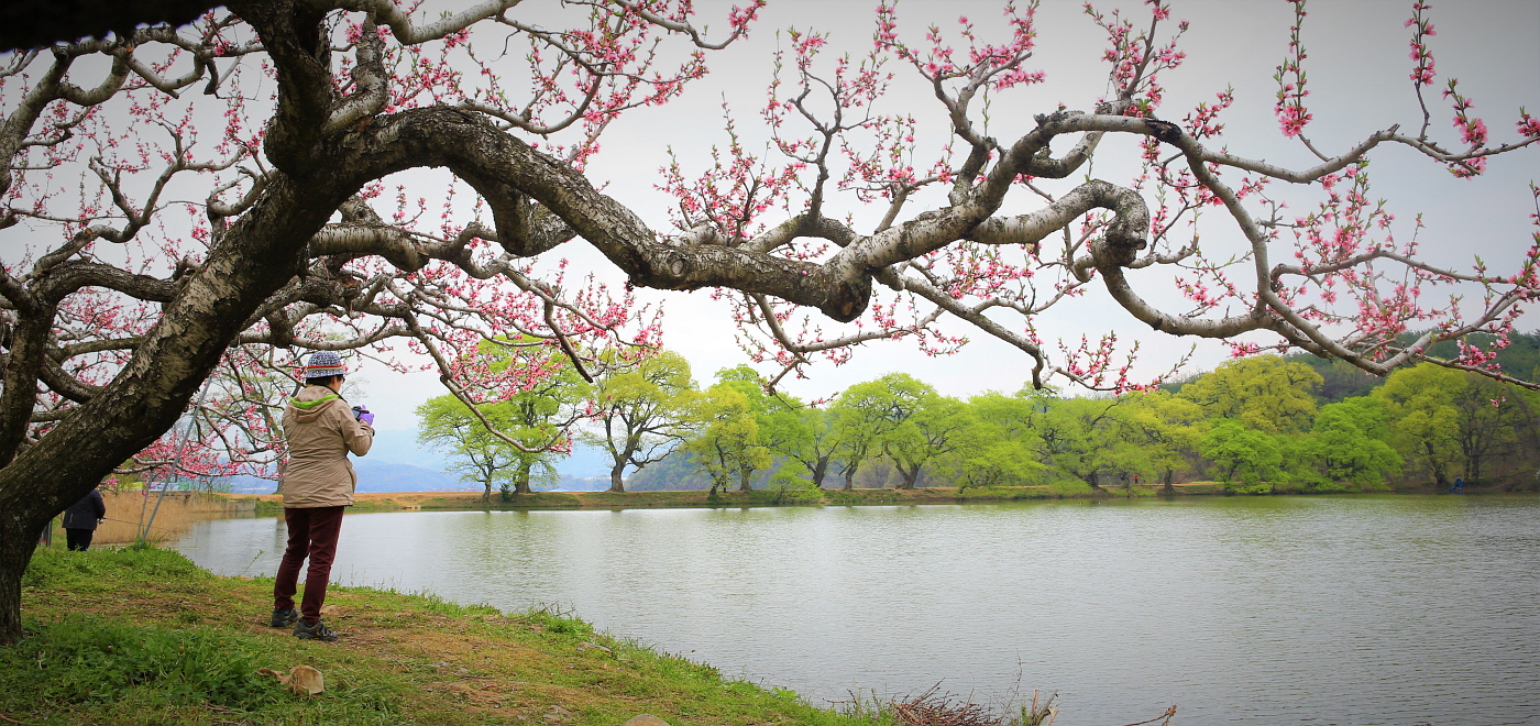 PHOTO BY  | Canon EOS 5D Mark III | 2016:04:11 08:46:18 | ISO-500 | 1/60 sec | f 11 | 30 mm | EV=0 | ● WIDTH:1400 pixels  HEIGHT:660 pixels