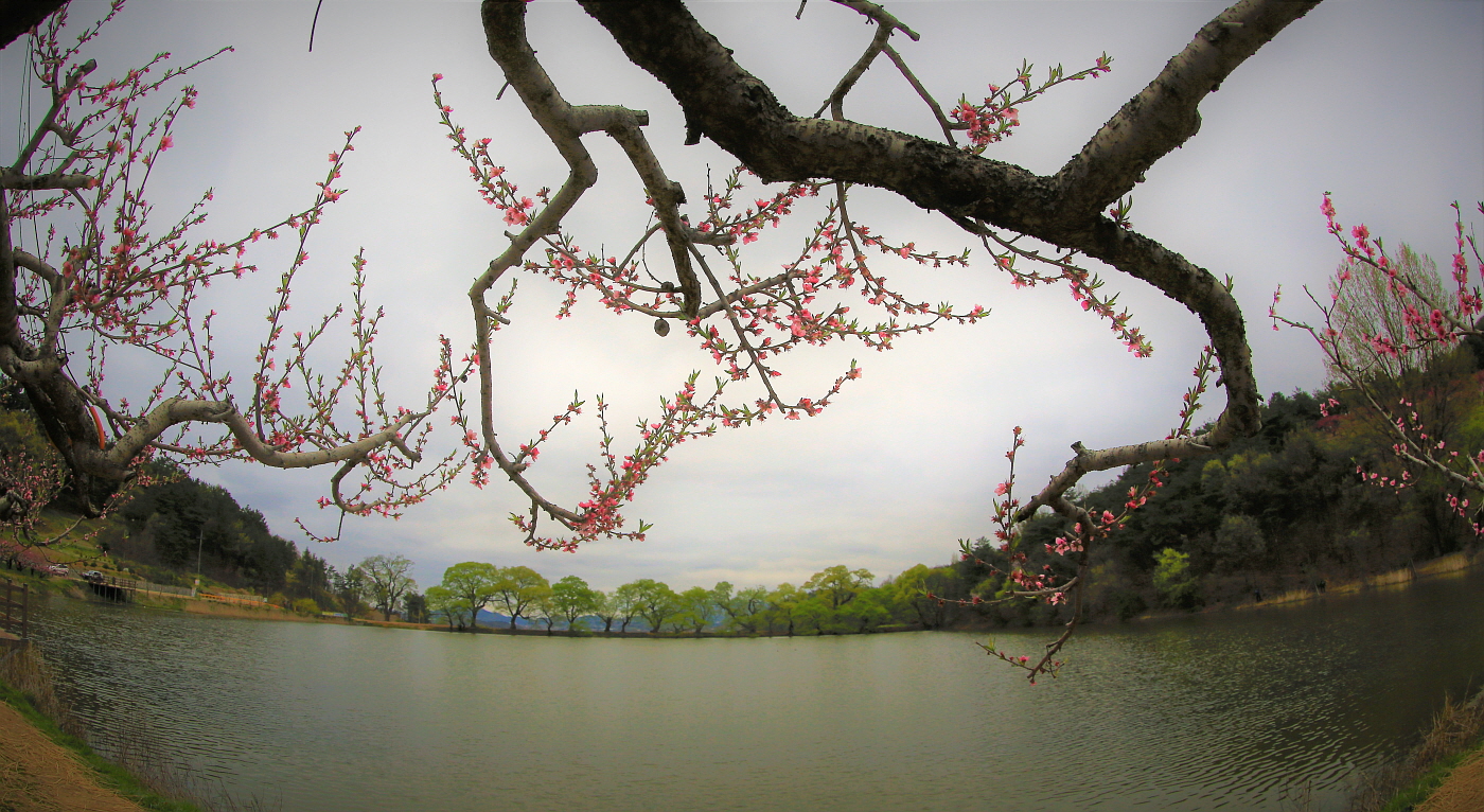 PHOTO BY 1 | Canon EOS 5D Mark III | 2016:04:11 06:38:10 | ISO-250 | 1/60 sec | f 7.1 | 15 mm | EV=0 | ● WIDTH:1400 pixels  HEIGHT:766 pixels