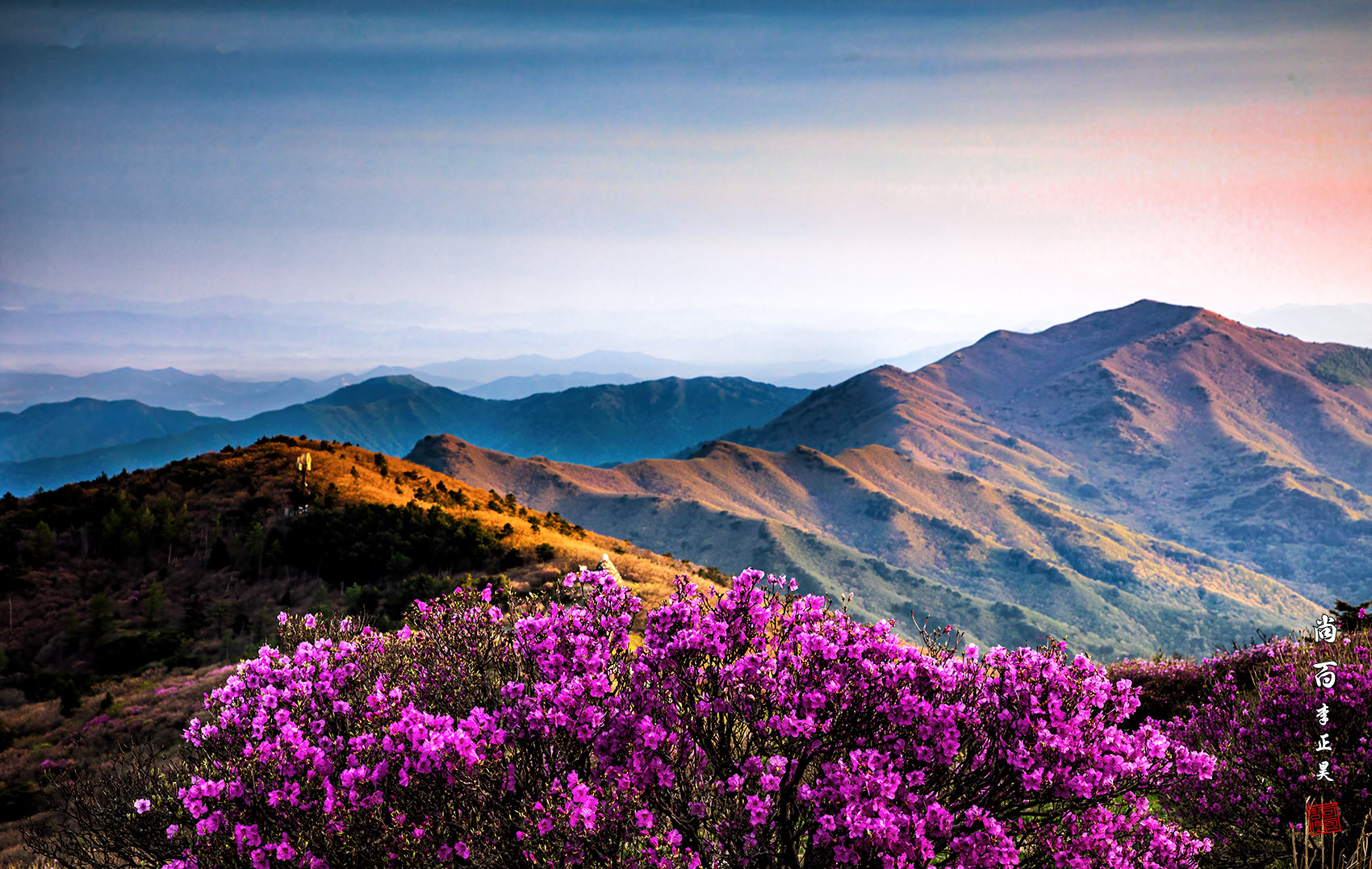 PHOTO BY  | Canon EOS 5D Mark IV | 2024:04:28 06:06:49 | ISO-100 | 1/30 sec | f 11 | 64 mm | EV=0 | ● WIDTH:1700 pixels  HEIGHT:1077 pixels