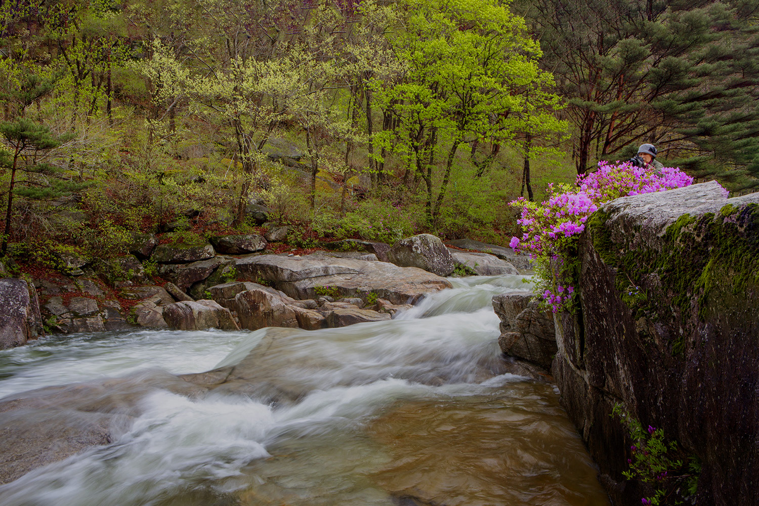 PHOTO BY  | CanonCanon  |  | ISO- |  |  |  | EV=0 | ● WIDTH:  HEIGHT: