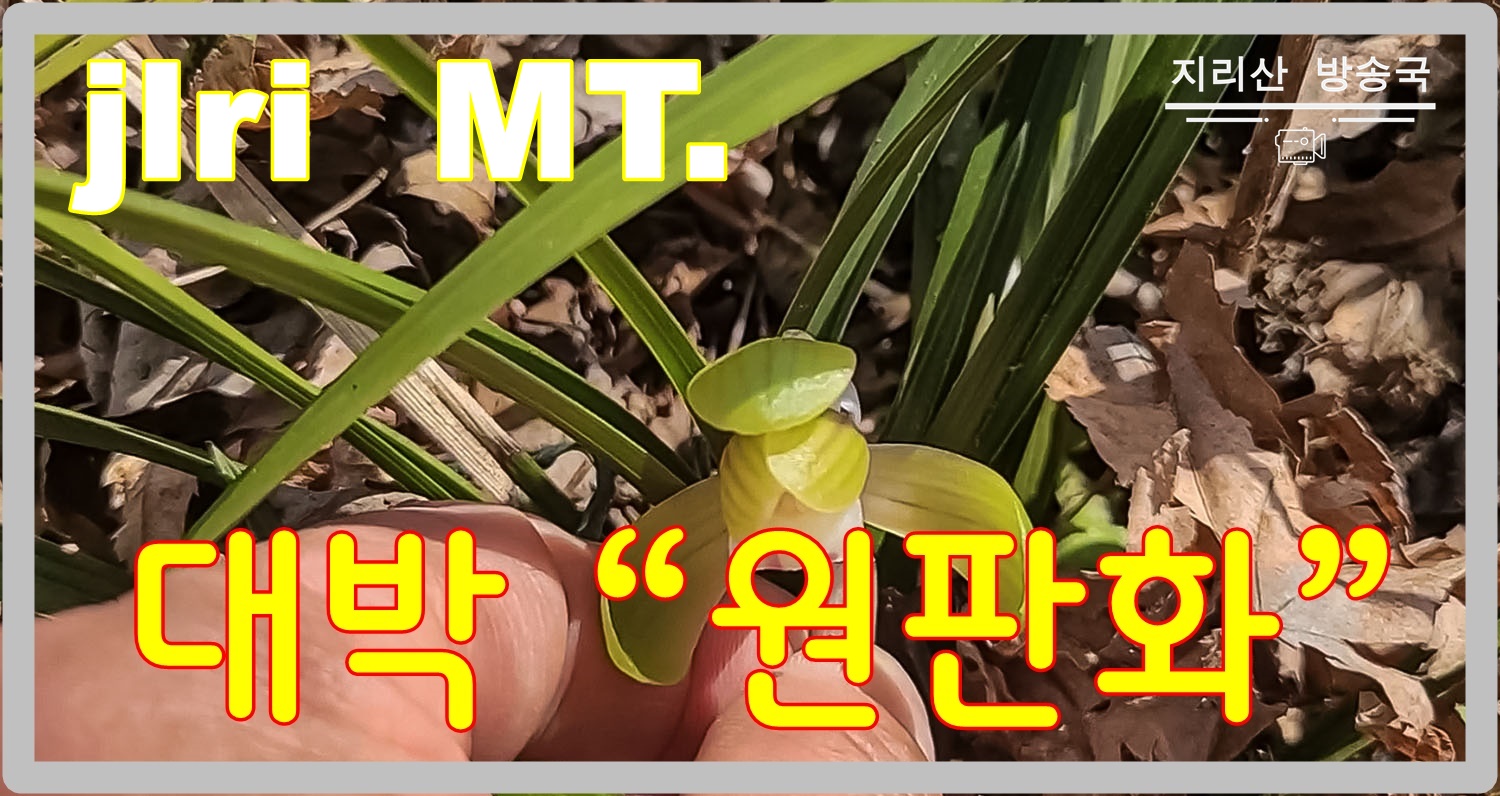   | PHOTO BY : 지리산도사/김종관  |