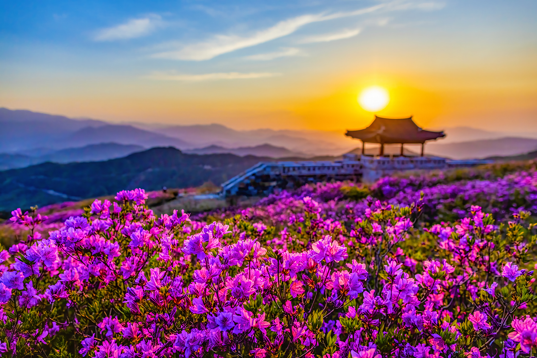 PHOTO BY  | Canon EOS R5 | 2022:05:01 18:52:15 | ISO-1600 | 1/2000 sec | f 3.5 | 24 mm | EV=0 | ● WIDTH:1800 pixels  HEIGHT:1201 pixels