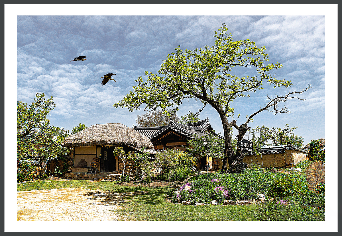 PHOTO BY  | ILCE-6500 | 2024:04:27 10:48:56 | ISO-200 | 1/400 sec | f 8 | 20.9 mm | EV=0.3 | ● WIDTH:1200 pixels  HEIGHT:829 pixels