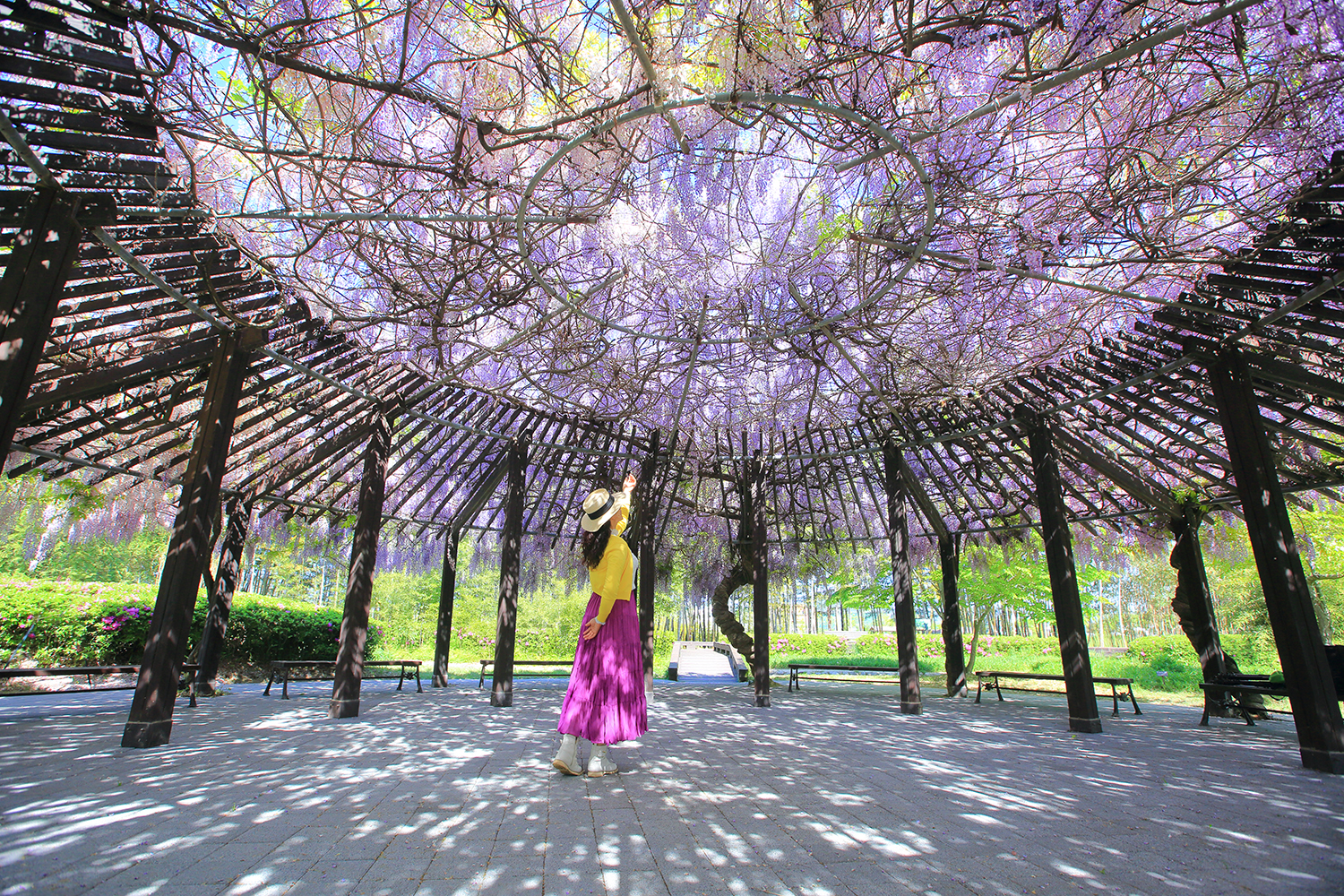 PHOTO BY  | Canon EOS 5D Mark III | 2024:04:25 10:02:14 | ISO-250 | 1/200 sec | f 5.6 | 16 mm | EV=0 | ● WIDTH:1500 pixels  HEIGHT:1000 pixels