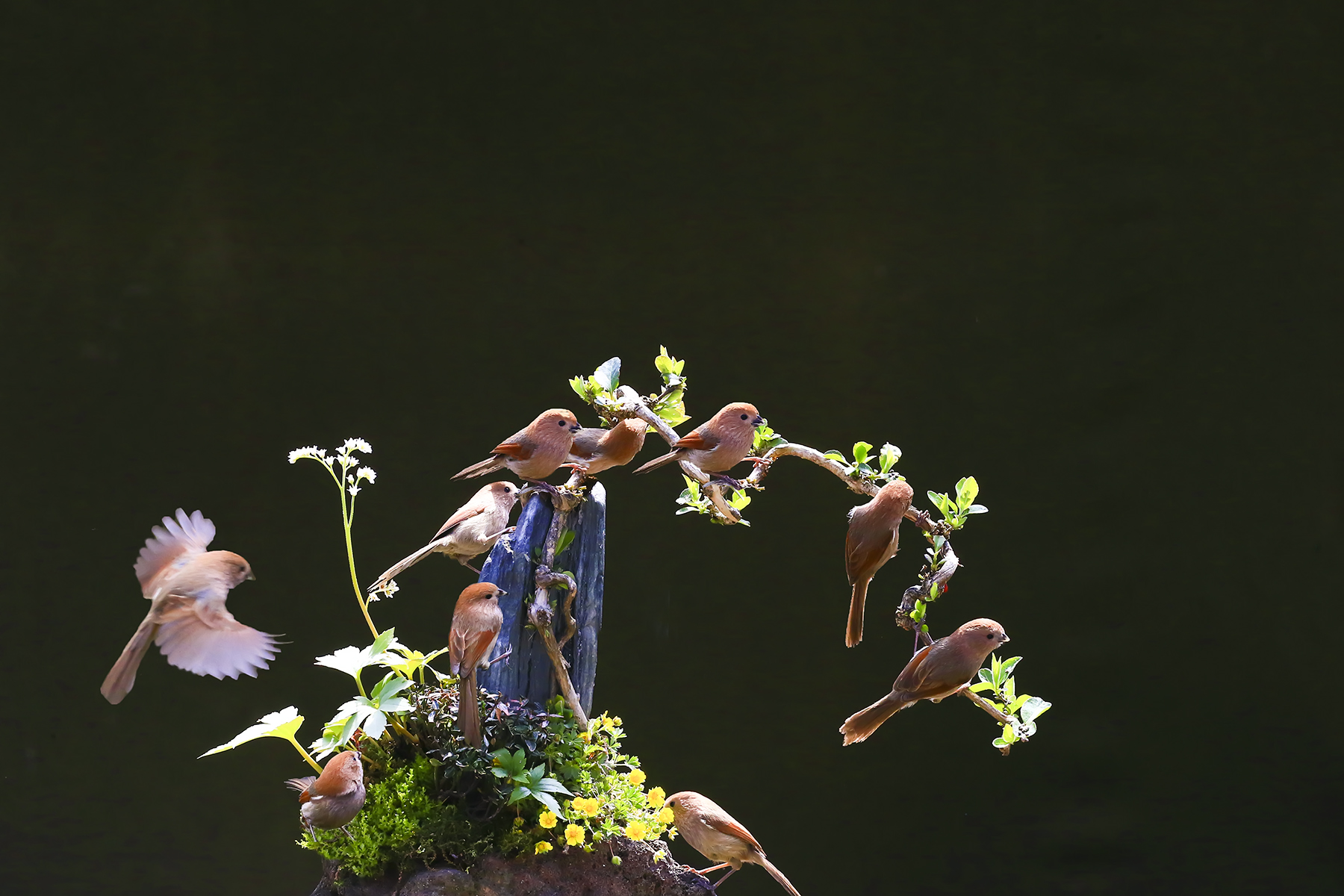 PHOTO BY HNalim | Canon EOS 7D Mark II | 2024:04:25 17:07:41 | ISO-1000 | 1/800 sec | f 18 | 104 mm | EV=0 | ● WIDTH:1800 pixels  HEIGHT:1200 pixels