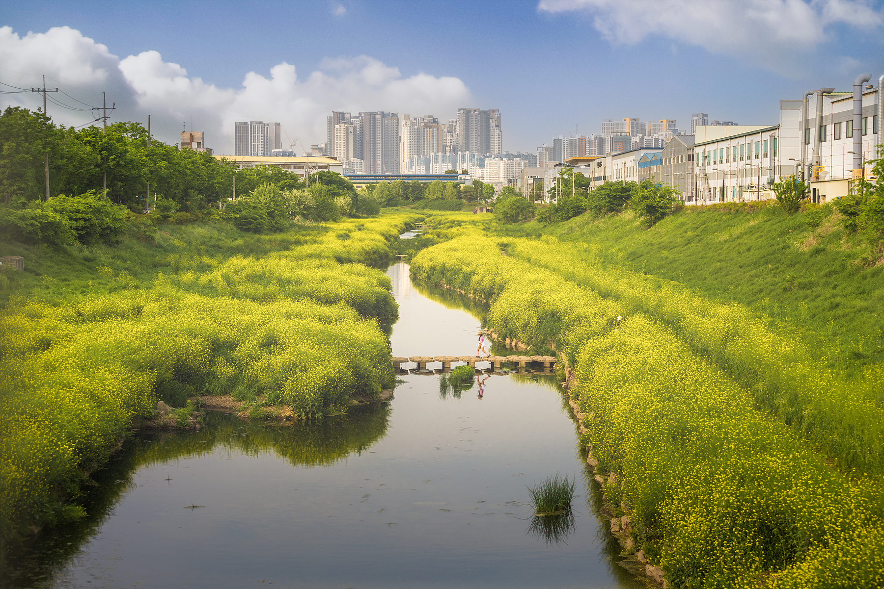   | PHOTO BY : 조현래  |