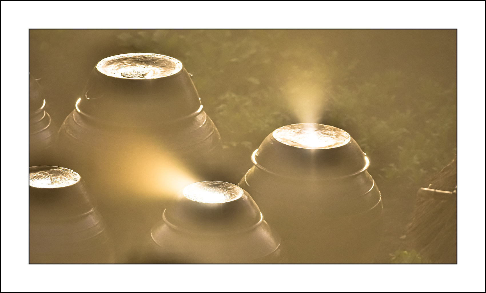   | PHOTO BY : 삿갓/정봉식  |