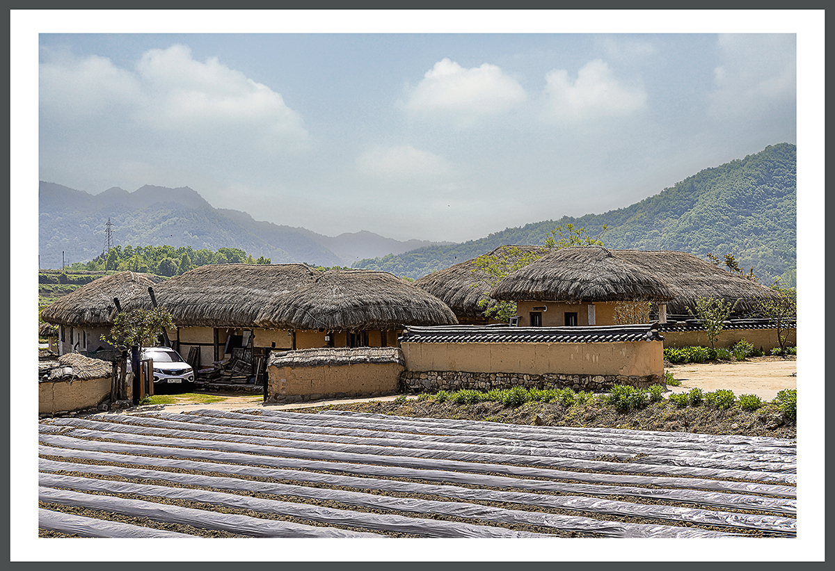 PHOTO BY  | ILCE-6500 | 2024:04:27 10:42:29 | ISO-200 | 1/500 sec | f 8 | 41.4 mm | EV=0.3 | ● WIDTH:1200 pixels  HEIGHT:821 pixels