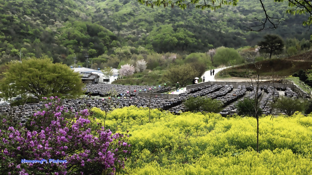 PHOTO BY  | NIKON D2Xs | 2007:04:17 12:20:45 | ISO-100 | 4/100 sec | f 18 | 24 mm | EV=-0.3 | ● WIDTH:1200 pixels  HEIGHT:674 pixels