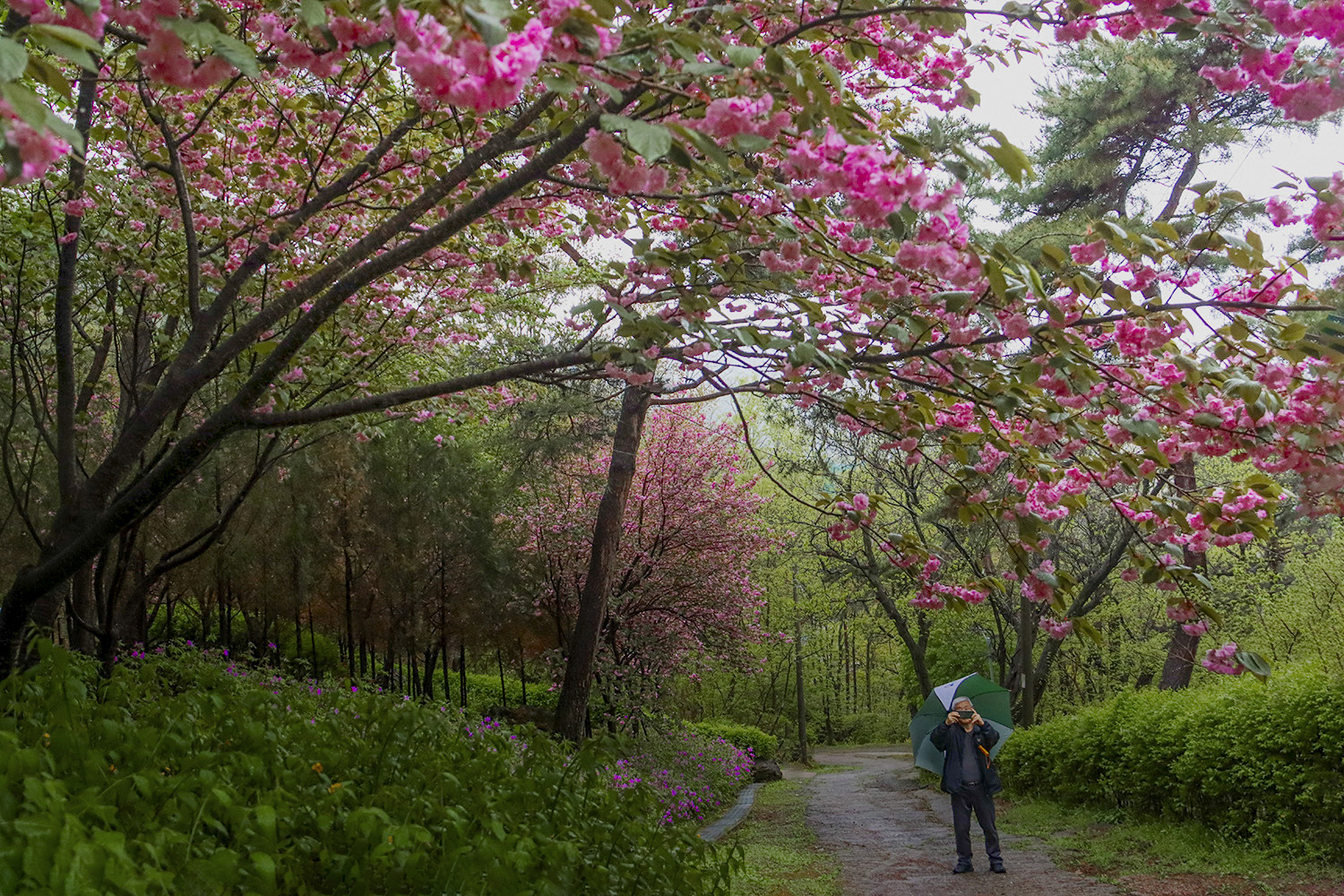 PHOTO BY  | Cano |  | ISO- |  |  |  | EV=0 | ● WIDTH:  HEIGHT: