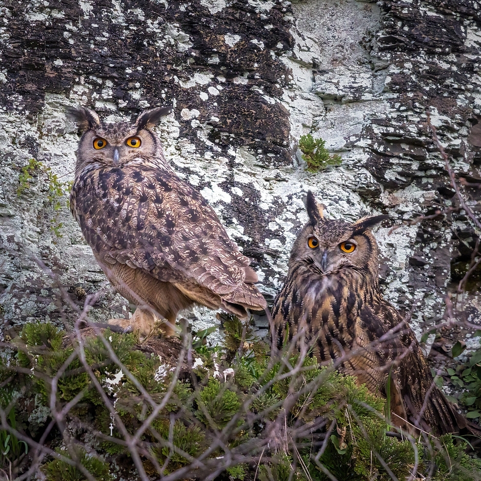   | PHOTO BY : 조현래  |