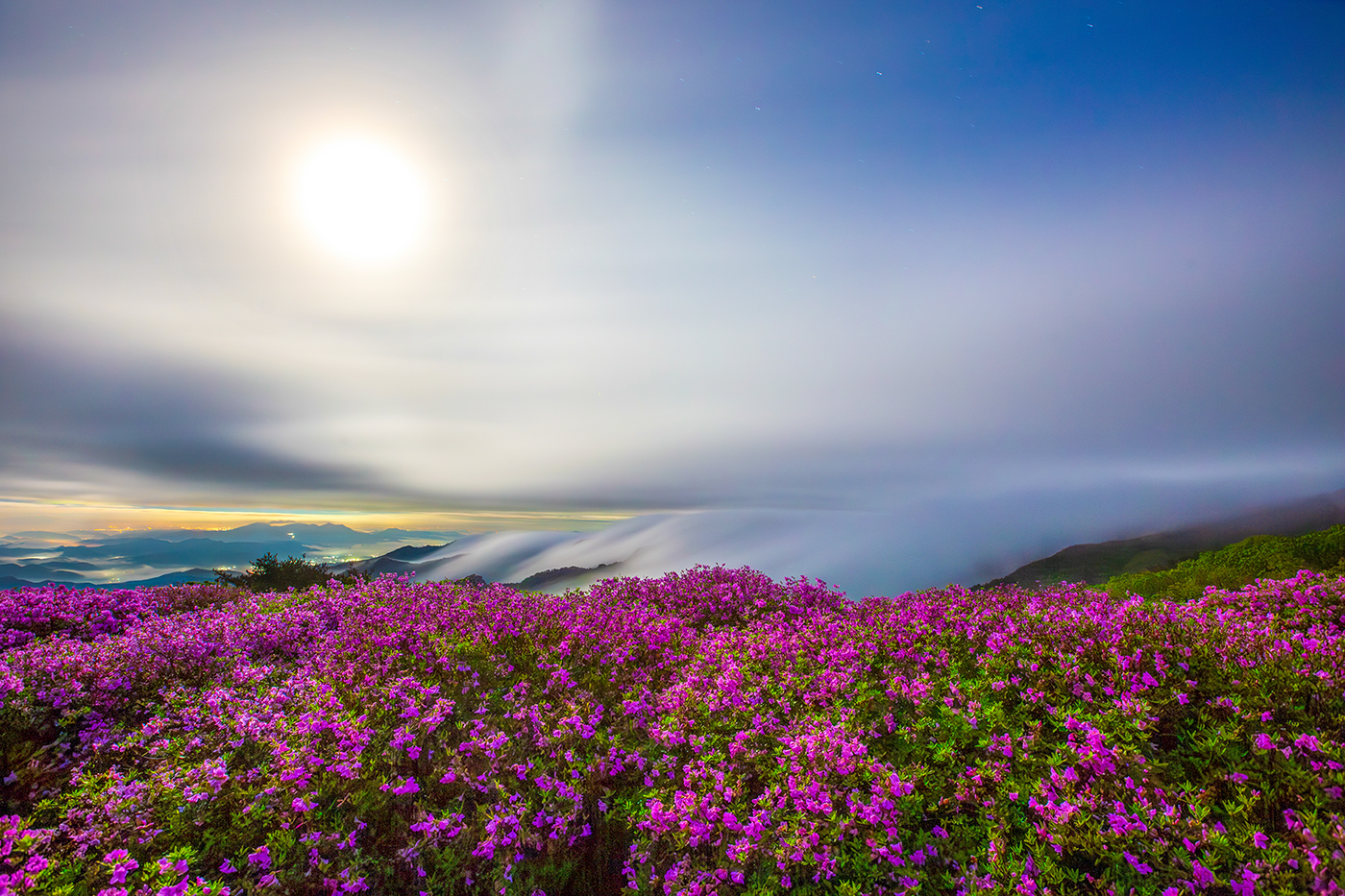 PHOTO BY  | Canon EOS 5D Mark III | 2024:04:30 04:27:52 | ISO-800 | 84/1 sec | f 8 | 16 mm | EV=0 | ● WIDTH:1400 pixels  HEIGHT:933 pixels