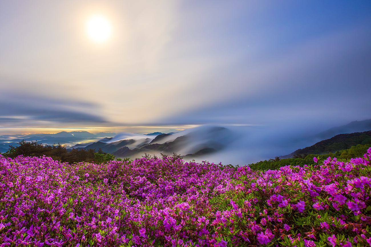 PHOTO BY  | Canon EOS 5D Mark III | 2024:04:30 04:42:05 | ISO-800 | 76/1 sec | f 8 | 16 mm | EV=0 | ● WIDTH:1300 pixels  HEIGHT:867 pixels