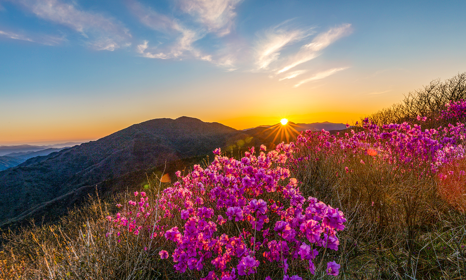PHOTO BY MINKYUKIM | Canon EOS 5D Mark III | 2024:04:25 05:29:59 | ISO-200 | 1/60 sec | f 14 | 31 mm | EV=0 | ● WIDTH:1600 pixels  HEIGHT:964 pixels