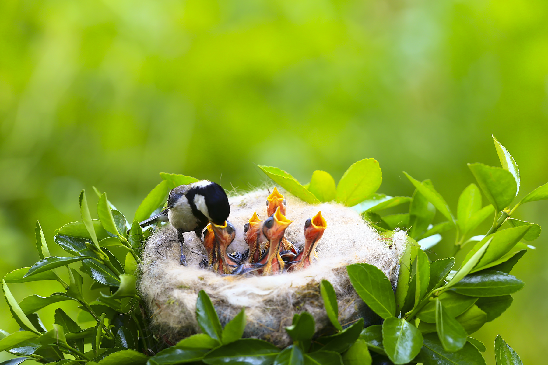 PHOTO BY HNalim | Canon EOS 7D Mark II | 2024:04:25 17:07:41 | ISO-1000 | 1/800 sec | f 18 | 104 mm | EV=0 | ● WIDTH:1800 pixels  HEIGHT:1200 pixels