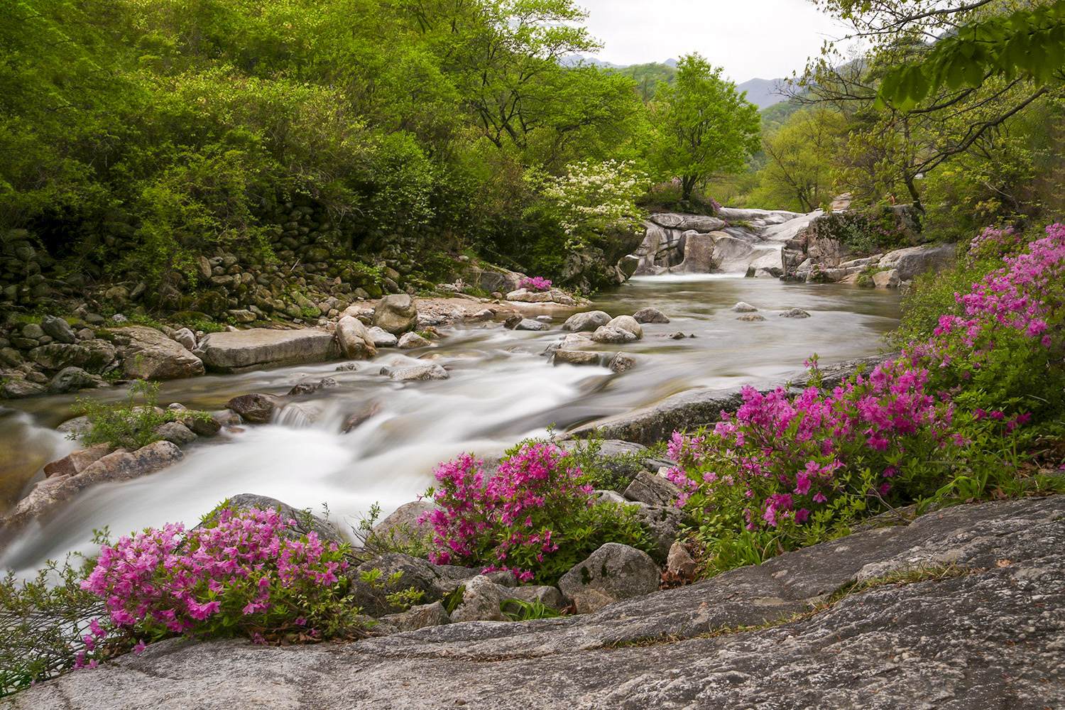 PHOTO BY  | CanonCanon |  | ISO- |  |  |  | EV=0 | ● WIDTH:  HEIGHT: