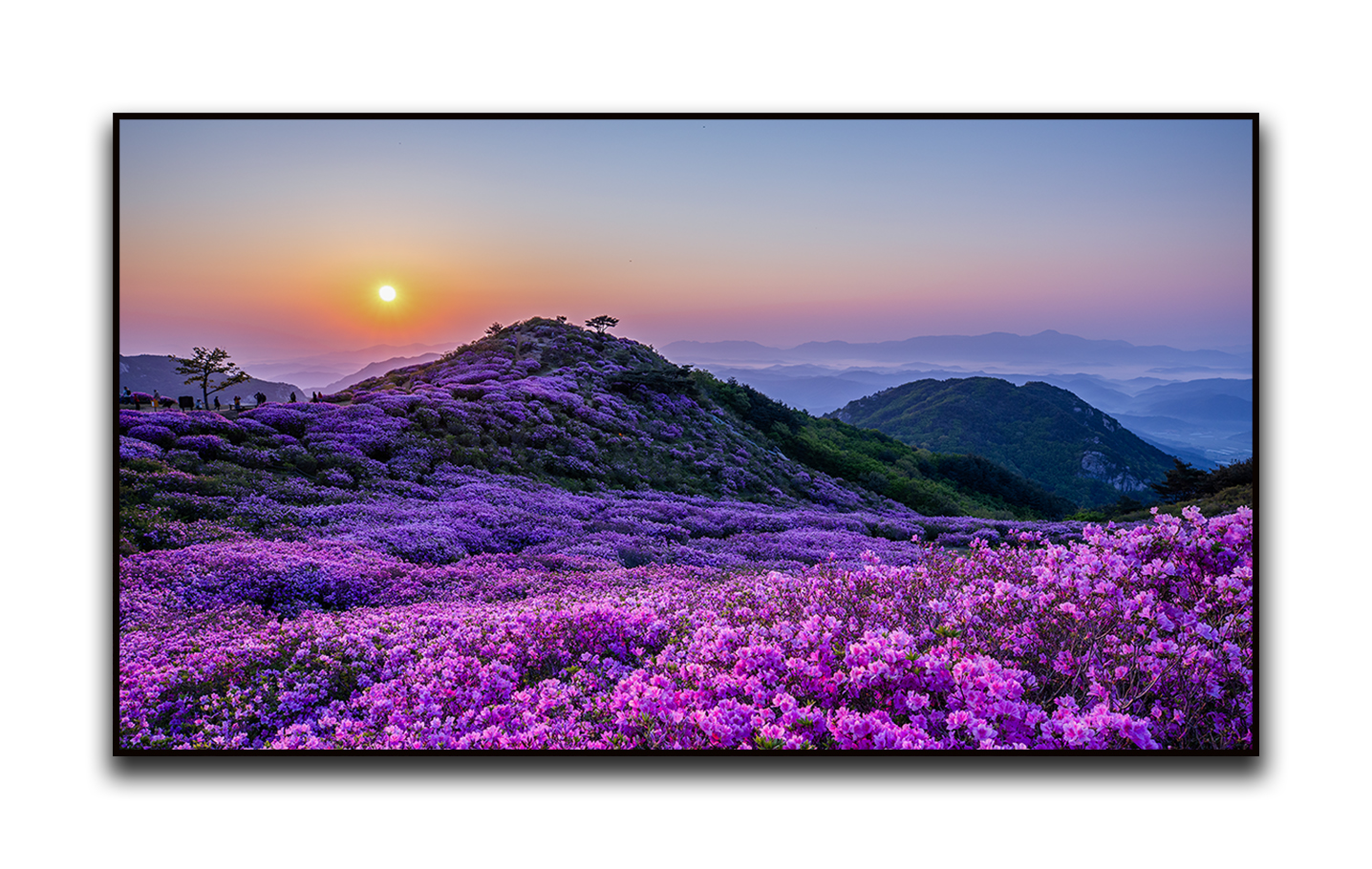 PHOTO BY  | Canon EOS 5D Mark IV | 2022:05:03 06:29:05 | ISO-100 | 1/20 sec | f 10 | 24 mm | EV=-1 | ● WIDTH:1436 pixels  HEIGHT:910 pixels